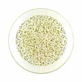 Red Pomegranate Collection 7 in. Isla Canape Plates, Clear & Gold - Set of 4 4960-1